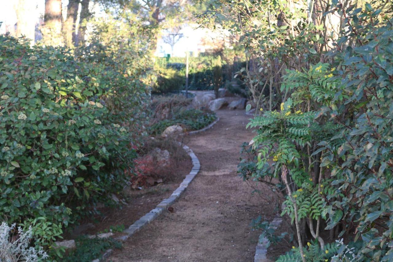 Del Senglar Guest house